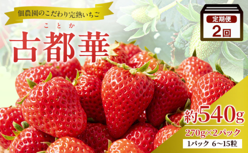 【2回定期便】いちご 完熟 古都華 約540g(270g× 2パック ) 2026年1月出荷開始 先行予約 奈良 ブランド イチゴ フルーツ 2427745 - 奈良県大和郡山市