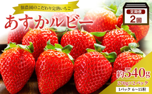 【2回定期便】いちご 完熟 あすかルビー 約540g 2026年1月出荷開始 先行予約 奈良 ブランド イチゴ フルーツ 2427746 - 奈良県大和郡山市