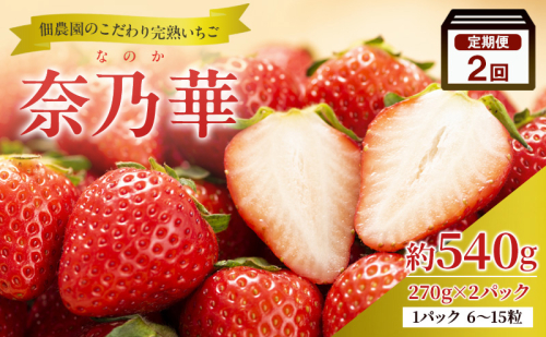 【2回定期便】いちご 完熟 奈乃華 約540g 奈良 ブランド イチゴ フルーツ なのか BN001 2427747 - 奈良県大和郡山市