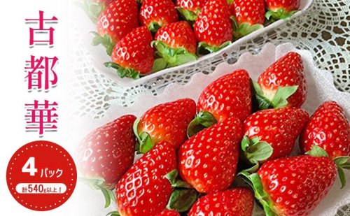 いちご 古都華 約270g ×4パック フルーツ 果物 旬 産地直送 旬のフルーツ 旬の果物 お取り寄せ おやつ デザート 希少 ことか 苺 冷蔵 冷蔵配送 奈良 奈良県 BN001 2427749 - 奈良県大和郡山市