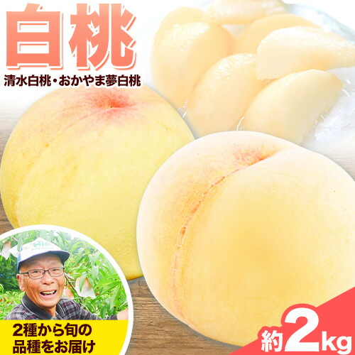 【先行予約】【2-26a】白桃（清水白桃・おかやま夢白桃） 仁科農園 桃 もも 岡山 約2kg 6〜8玉 《7月中旬-8月上旬頃出荷》 岡山県産 岡山の桃 おかやま夢白桃 清水白桃 おまかせ ブランド桃 旬 果物 フルーツ 甘い 2427768 - 岡山県笠岡市