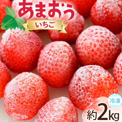 いちご 冷凍 あまおう 約2kg [地域商社ふるさぽ 福岡県 宇美町 um40bfw220008] フルーツ 果物 イチゴ 苺 くだもの ジャム シャーベット スムージー 2428002 - 福岡県宇美町