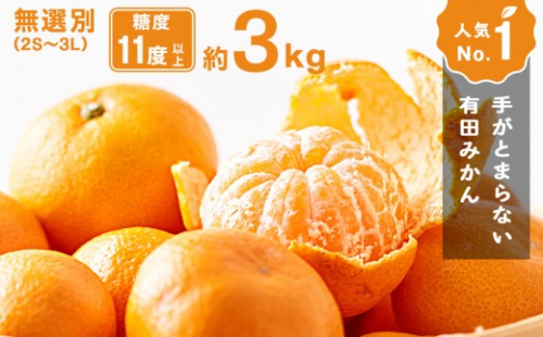 手が止まらない 訳あり 有田みかん 約3kg 大きさ無選別（2S〜3L） 糖度11度以上 鳴川農園 　［2026年11月以降発送予定］｜訳あり 家庭用 わけあり みかん 果物 みかん フルーツ みかん 和歌山 みかん 柑橘類 みかん 和歌山県産 みかん 有田 みかん【みかん ミカン mikan 有田みかん ミカン みかん ミカン みかん ミカン みかん 蜜柑 みかん ミカン】 2428005 - 和歌山県有田川町