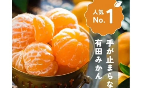手が止まらない 訳あり 有田みかん 約5kg 大きさ無選別（2S〜3L） 糖度11度以上 鳴川農園 2428006 - 和歌山県有田川町