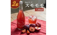 酒田の酒屋厳選　楯の川 BARヨー子 スモモモ　720ml×2本 SB0834