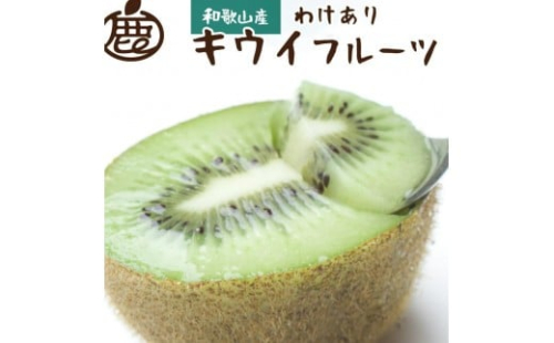 ［先行予約］わけあり キウイ0.6kg+250g（傷み補償分）［わけあり・訳あり・扁平果］ 2428118 - 和歌山県有田川町