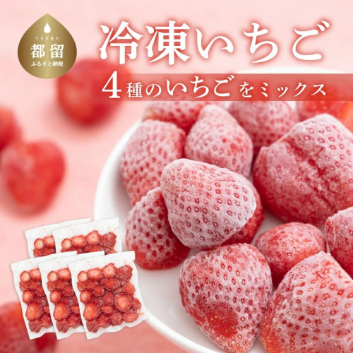 冷凍いちご 5袋詰合せセット 2428146 - 山梨県都留市