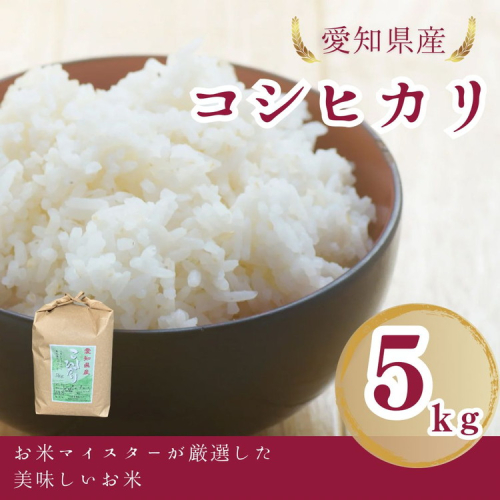 愛知県産 コシヒカリ 5kg｜米 お米 コメ こめ おにぎり 弁当 愛知県 美浜町 新米 ※北海道・沖縄・離島への配送不可 2428220 - 愛知県美浜町