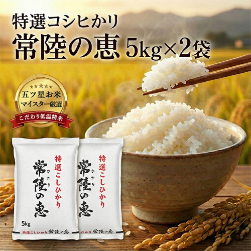 【令和７年産】特選こしひかり　「常陸の恵」１０kg 【 お米 五ツ星 お米マイスター HACCP 取得 低温精米 高品質 ご飯 美味しい米 ブランド米 特産物 あさや米穀 茨城県 日立市 】 2428243 - 茨城県日立市