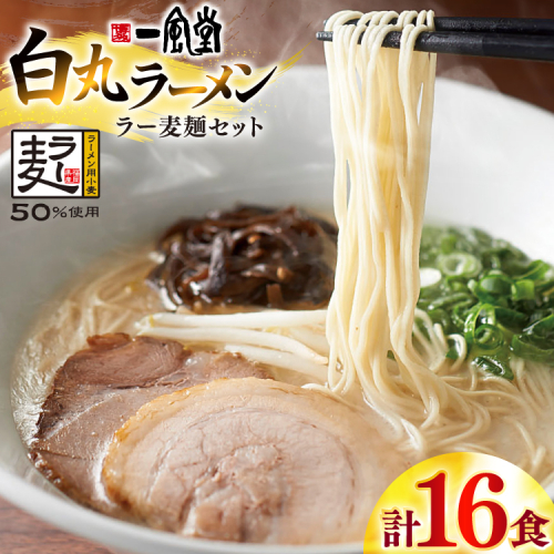 ラーメン 一風堂 白丸 ラー麦麺 セット 16食 [地域商社ふるさぽ 福岡県 宇美町 um40bfw220011] 豚骨 とんこつ らーめん 拉麺 豚骨ラーメン とんこつラーメン 博多ラーメン まとめ買い 2428250 - 福岡県宇美町