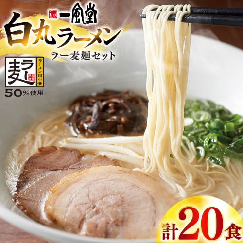 ラーメン 一風堂 白丸 ラー麦麺 セット 20食 [地域商社ふるさぽ 福岡県 宇美町 um40bfw220010] 豚骨 とんこつ らーめん 拉麺 豚骨ラーメン とんこつラーメン 博多ラーメン まとめ買い 2428296 - 福岡県宇美町