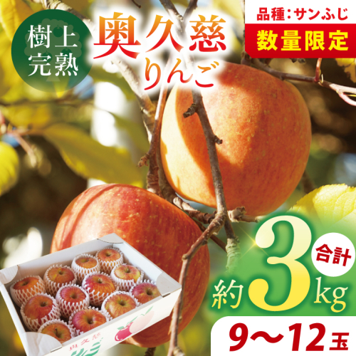 【先行予約】仲野りんご園の奥久慈りんご「サンふじ」約3kg（9～12玉）｜茨城県 大子町 樹上完熟 林檎 アップル 果物 フルーツ 旬 秋 味覚 ギフト 贈答（DF001） 2428307 - 茨城県大子町