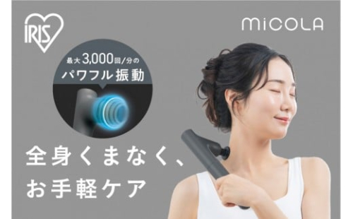 ビューティーケアガンプラス　FRT-M02-H　ダークグレー 2428316 - 宮城県角田市