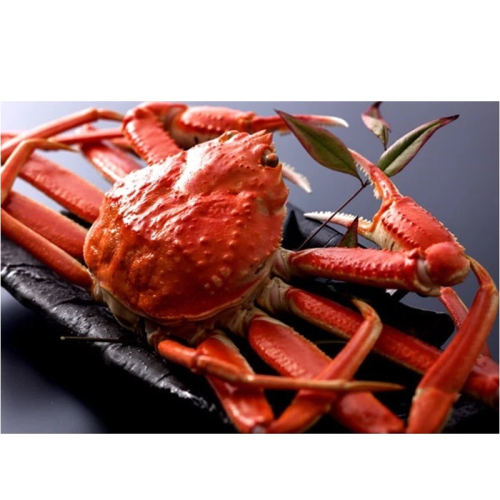 【厳選】茹で松葉蟹 2L(700g前後)×2杯　★1月～2月お届け 2428351 - 京都府京丹後市