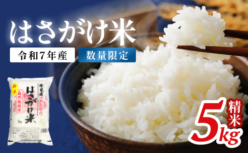 《数量限定》令和７年産 はさがけ米 精米5kg 富山県 氷見市 米 コシヒカリ こしひかり 2428372 - 富山県氷見市