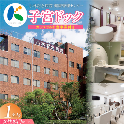 小林記念病院子宮ドック 利用券 1名様分 子宮 卵巣 MRI 子宮頸部細胞診 HPV ヒトパピローマウイルス 子宮内膜症 女性 券 チケット ギフト 贈り物 愛知県 碧南市 H203-003 2428390 - 愛知県碧南市
