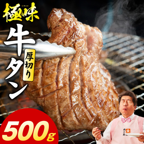 厚切り牛たん 500g【氷温熟成×旨塩ダレ 味付き 訳あり サイズ不揃い 500g 小分け 焼くだけ 焼肉】 mrz0282 2428393 - 大阪府泉佐野市