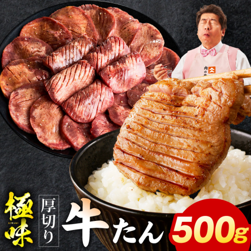 厚切り牛たん 500g【氷温熟成×旨塩ダレ 味付き 訳あり サイズ不揃い 500g 小分け 焼くだけ 焼肉】 mrz0282 2428393 - 大阪府泉佐野市