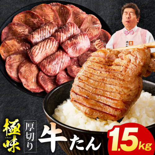 厚切り牛たん 1.5kg【氷温熟成×旨塩ダレ 味付き 訳あり サイズ不揃い 500g 小分け 焼くだけ 焼肉】 mrz0284 2428394 - 大阪府泉佐野市