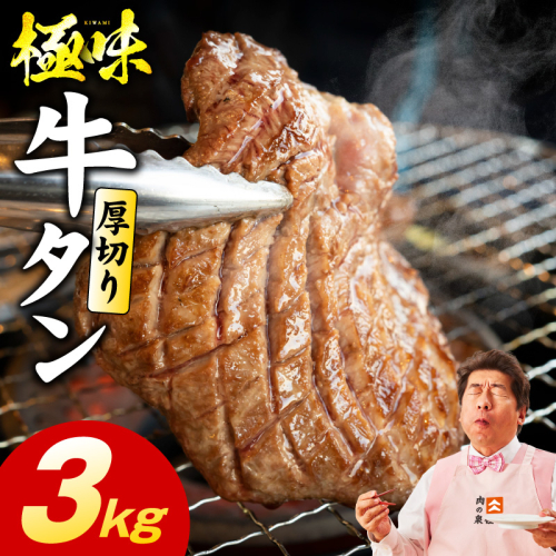 厚切り牛たん 3kg【氷温熟成×旨塩ダレ 味付き 訳あり サイズ不揃い 500g 小分け 焼くだけ 焼肉】 mrz0286 2428396 - 大阪府泉佐野市
