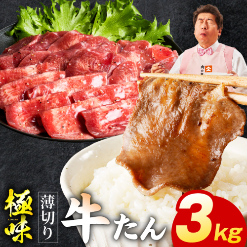 薄切り牛たん 3kg【氷温熟成×旨塩ダレ 味付き 訳あり サイズ不揃い 500g 小分け 焼くだけ 焼肉】 mrz0291 2428399 - 大阪府泉佐野市