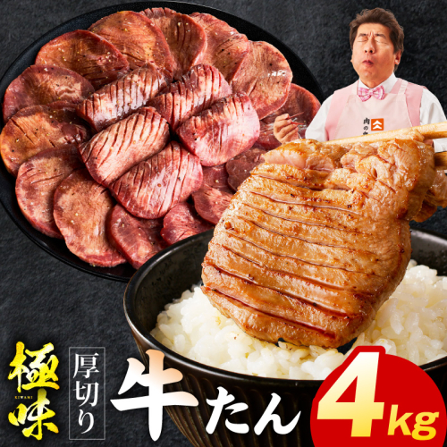 厚切り牛たん 4kg【氷温熟成×旨塩ダレ 味付き 訳あり サイズ不揃い 500g 小分け 焼くだけ 焼肉】 mrz0294 2428401 - 大阪府泉佐野市