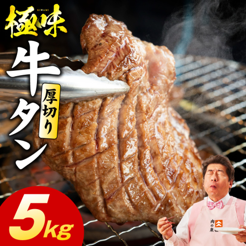厚切り牛たん 5kg【氷温熟成×旨塩ダレ 味付き 訳あり サイズ不揃い 500g 小分け 焼くだけ 焼肉】 mrz0295 2428402 - 大阪府泉佐野市