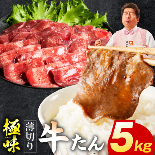 【スピード発送】薄切り牛たん 5kg【氷温熟成×旨塩ダレ 味付き 訳あり サイズ不揃い 500g 小分け 焼くだけ 焼肉】 mrz0297 2428405 - 大阪府泉佐野市