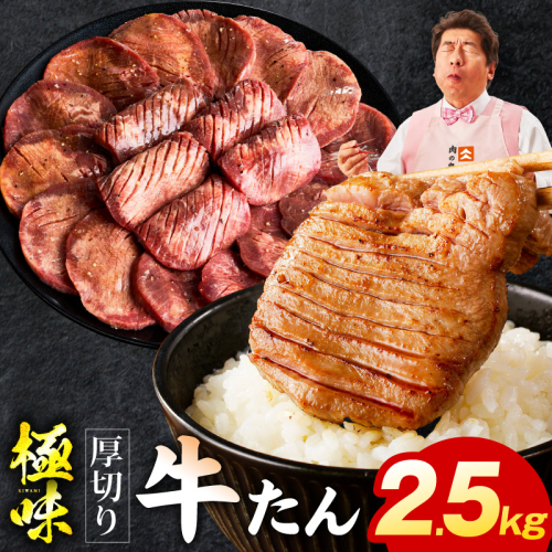 厚切り牛たん 2.5kg【氷温熟成×旨塩ダレ 味付き 訳あり サイズ不揃い 500g 小分け 焼くだけ 焼肉】 mrz0298 2428406 - 大阪府泉佐野市