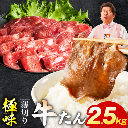 薄切り牛たん 2.5kg【氷温熟成×旨塩ダレ 味付き 訳あり サイズ不揃い 500g 小分け 焼くだけ 焼肉】 mrz0299 2428407 - 大阪府泉佐野市