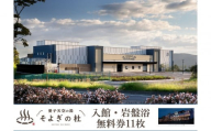 【ふるさと納税】愛子天空の湯 そよぎの杜 入館・岩盤浴無料券11枚　温泉 露天風呂 サウナ 日帰り 天然温泉 観光 旅行 旅 回数券 入浴券 仙台市　
