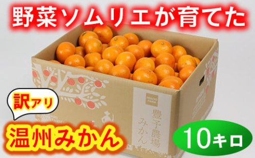 【訳あり・規格外品】野菜ソムリエ石児さんの「温州みかん 10kg」 ミカン みかん 蜜柑 柑橘 10kg 柑橘類 訳あり 1月 2月 甘い 温州みかん フルーツ ＜103-005_5＞