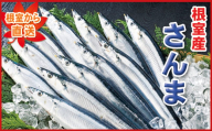 A-71050 【12/17まで年内配送】【北海道根室産】冷凍生サンマ20尾（真空パック5尾入×4P）