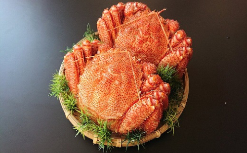 F-21004 【北海道根室産】毛がに600g前後×2尾