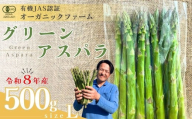 【先行予約】オーガニック グリーンアスパラガス  L 500g 【オーガニックアスパラ 有機JAS認証 グリーンアスパラ Lサイズ 新鮮野菜 産地直送 500g 春野菜 自然栽培 循環型農法  甘いアスパラガス 香り豊か 太陽の恵み 大地の恵み 野菜ギフト 旬の野菜 お取り寄せ野菜】