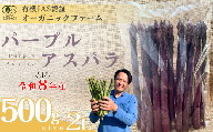 【先行予約】オーガニック パープルアスパラガス  2L 500g【オーガニックアスパラ 有機JAS認証 パープルアスパラガス 2Lサイズ 新鮮野菜 産地直送 500g 春野菜 自然栽培 循環型農法  甘いアスパラガス 香り豊か 太陽の恵み 大地の恵み 野菜ギフト 旬の野菜 お取り寄せ野菜】