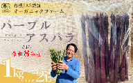 【先行予約】オーガニック パープルアスパラガス  2L 1kg【オーガニックアスパラ 有機JAS認証 パープルアスパラガス 2Lサイズ 新鮮野菜 産地直送 1kg 春野菜 自然栽培 循環型農法  甘いアスパラガス 香り豊か 太陽の恵み 大地の恵み 野菜ギフト 旬の野菜 お取り寄せ野菜】