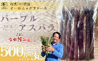 【先行予約】オーガニック パープルアスパラガス  3L 500g【オーガニックアスパラ 有機JAS認証 パープルアスパラガス 3Lサイズ 新鮮野菜 産地直送 500g 春野菜 自然栽培 循環型農法  甘いアスパラガス 香り豊か 太陽の恵み 大地の恵み 野菜ギフト 旬の野菜 お取り寄せ野菜】