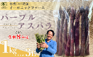 【先行予約】オーガニック パープルアスパラガス  3L 1kg【オーガニックアスパラ 有機JAS認証 パープルアスパラガス 3Lサイズ 新鮮野菜 産地直送 1kg 春野菜 自然栽培 循環型農法  甘いアスパラガス 香り豊か 太陽の恵み 大地の恵み 野菜ギフト 旬の野菜 お取り寄せ野菜】