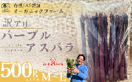【先行予約】【訳あり】オーガニック パープルアスパラガス  M～L 500g【オーガニックアスパラ 有機JAS認証 パープルアスパラガス M～Lサイズ 新鮮野菜 産地直送 500g 春野菜 自然栽培 循環型農法  甘いアスパラガス 香り豊か 太陽の恵み 大地の恵み 野菜ギフト 旬の野菜 お取り寄せ野菜 訳あり】