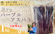 【先行予約】【訳あり】オーガニック パープルアスパラガス  M～L 1kg【オーガニックアスパラ 有機JAS認証 パープルアスパラガス M～Lサイズ 新鮮野菜 産地直送 1kg 春野菜 自然栽培 循環型農法  甘いアスパラガス 香り豊か 太陽の恵み 大地の恵み 野菜ギフト 旬の野菜 お取り寄せ野菜 訳あり】