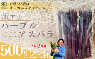 【先行予約】【訳あり】オーガニック パープルアスパラガス   2L～3L 500g【オーガニックアスパラ 有機JAS認証 パープルアスパラガス 2L～3Lサイズ 新鮮野菜 産地直送 500g 春野菜 自然栽培 循環型農法  甘いアスパラガス 香り豊か 太陽の恵み 大地の恵み 野菜ギフト 旬の野菜 お取り寄せ野菜 訳あり】