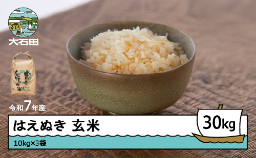 米 令和7年産 はえぬき 玄米 30kg 10kg×3袋 5月下旬発送 山形県産 東北 ap-hagxa10x3-5s 2429644 - 山形県大石田町