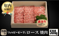 【12月配送】飛騨牛 A5等級 ロース ５００g 年内発送 焼肉 飛騨牛 ブランド牛 Ａ5ランク ハッピープラス 飛騨高山 JQ017VC12