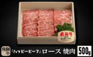 飛騨牛 A5等級 ロース ５００g 焼肉 飛騨牛 ブランド牛 Ａ5ランク ハッピープラス 飛騨高山 JQ017VC13