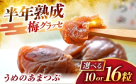 福井県産 梅グラッセ うめのあまつぶ 10粒入 / 紅映梅使用 上品な甘酸っぱさ 梅 ウメ 小浜市 / アップ・トゥ・ユウ [BFAU007]