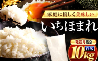 【5月発送】福井県産 いちほまれ 精米 10kg 県産ブランド米 / コメ 白米 新米 米 小浜市 / 梅田東米穀店 [BFEK024]