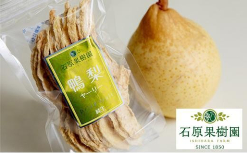 石原果樹園 純生 ヤーリー梨 ドライフルーツ 15袋（1袋30g） 2429777 - 岡山県岡山市