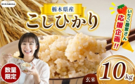 訳あり【令和7年度】【栃木県共通返礼品】【数量限定】令和7年度 栃木県産コシヒカリ 10kg | 数量限定 こしひかり  玄米 米 ごはん  玄米真空パック ふるさと納税 那珂川町 栃木県