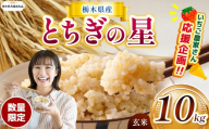 訳あり【令和7年度新米】【栃木県共通返礼品】【数量限定】令和7年度新米 栃木県産とちぎの星 10kg | とちぎの星 数量限定 玄米 米 ごはん  ふるさと納税 那珂川町 栃木県